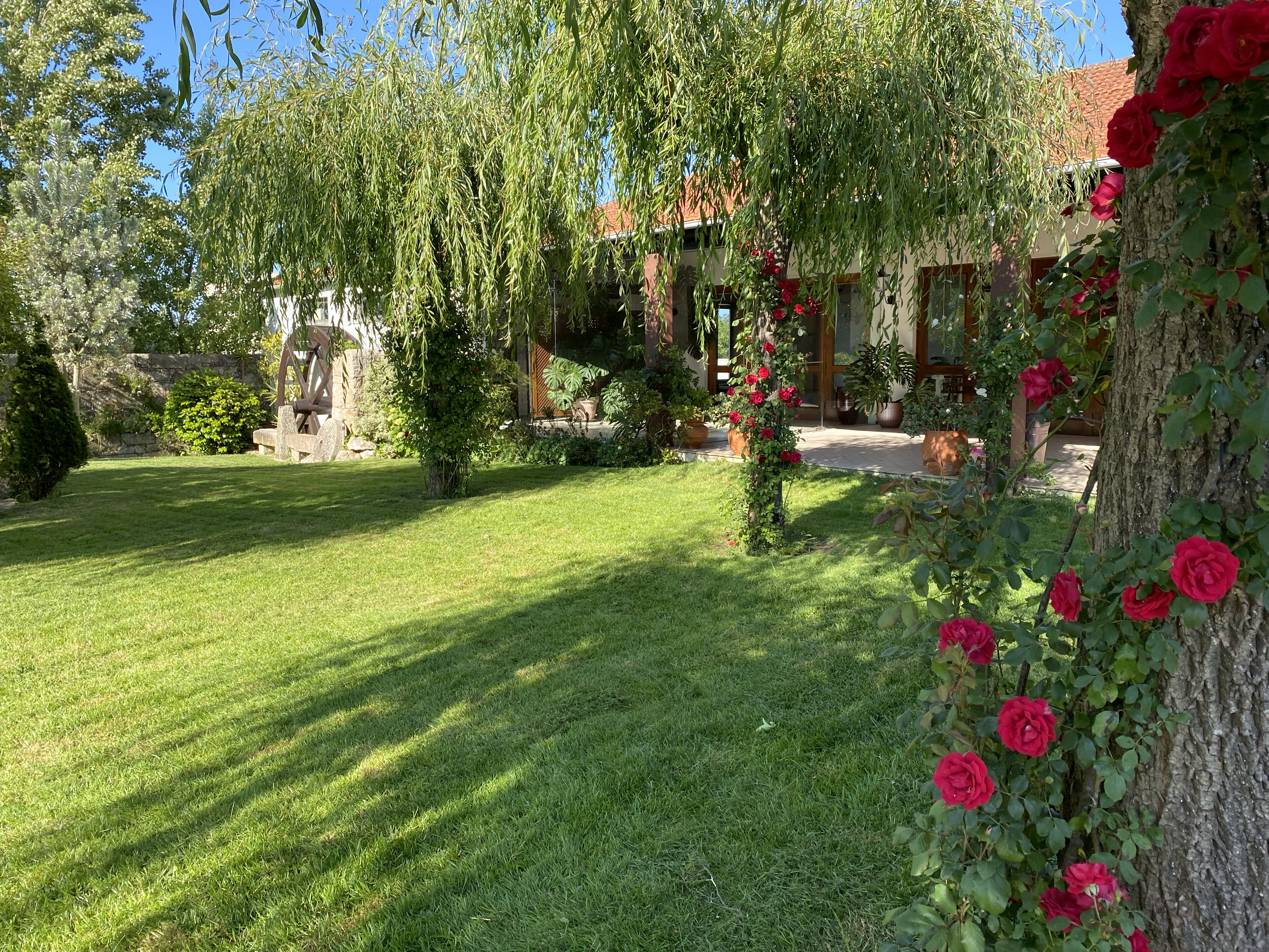Jardim da Quinta Casal Camaz, com caminho ajardinado e roseira